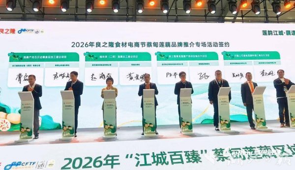 8个项目集中签约 蔡甸莲藕亮相中国食材电商节