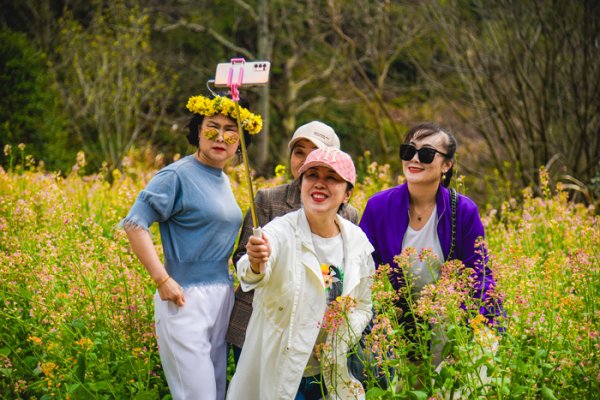 “慧”赏花带来新体验