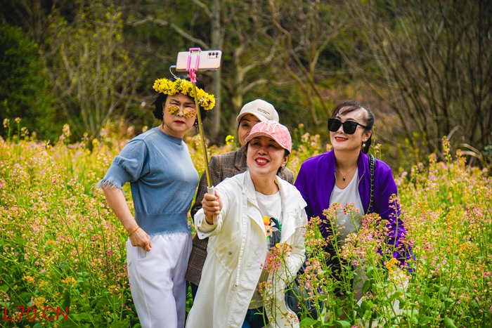 游客们在篁岭景区的彩色油菜花海中合影。戴健平摄