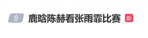 鹿晗陈赫现身赛场看张雨霏比赛，张雨霏回应