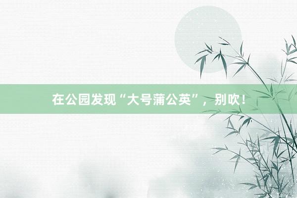 在公园发现“大号蒲公英”，别吹！