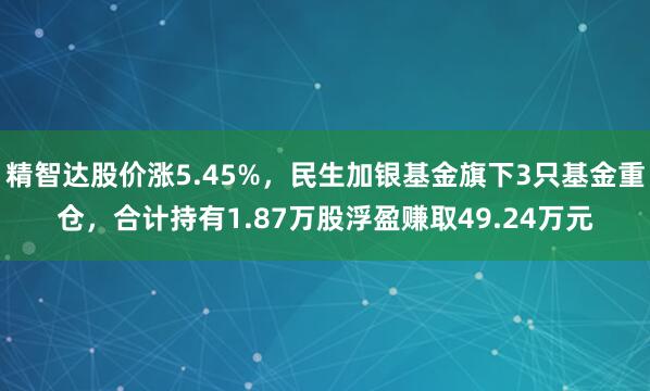 精智达股价涨5.45%，民生加银基金旗下3只基金重仓，合计持有1.87万股浮盈赚取49.24万元
