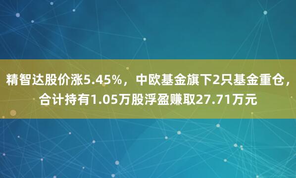 精智达股价涨5.45%，中欧基金旗下2只基金重仓，合计持有1.05万股浮盈赚取27.71万元
