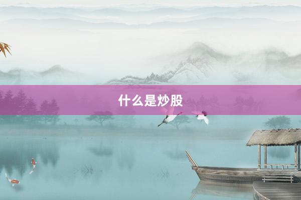 什么是炒股