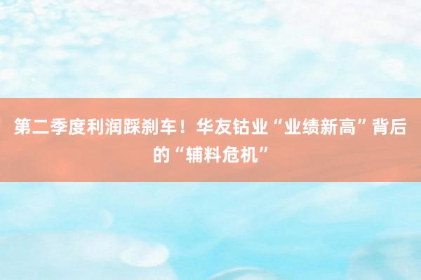 第二季度利润踩刹车！华友钴业“业绩新高”背后的“辅料危机”