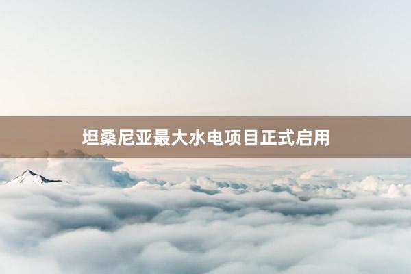 坦桑尼亚最大水电项目正式启用