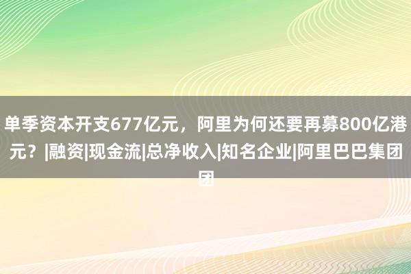 单季资本开支677亿元，阿里为何还要再募800亿港元？|融资|现金流|总净收入|知名企业|阿里巴巴集团