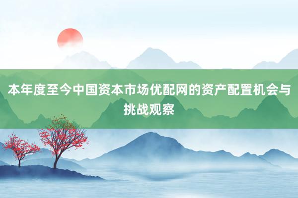 本年度至今中国资本市场优配网的资产配置机会与挑战观察