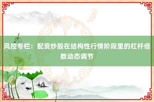 风控专栏：配资炒股在结构性行情阶段里的杠杆倍数动态调节