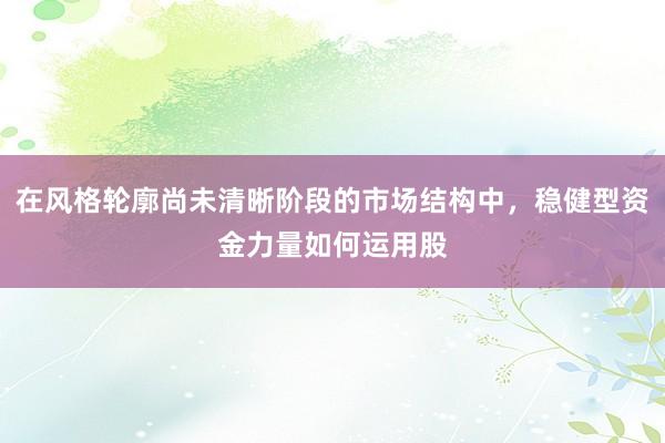 在风格轮廓尚未清晰阶段的市场结构中，稳健型资金力量如何运用股