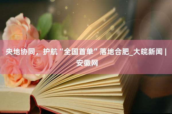 央地协同，护航“全国首单”落地合肥_大皖新闻 | 安徽网