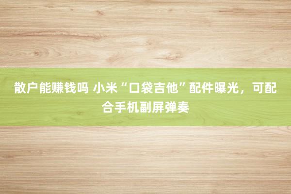 散户能赚钱吗 小米“口袋吉他”配件曝光，可配合手机副屏弹奏