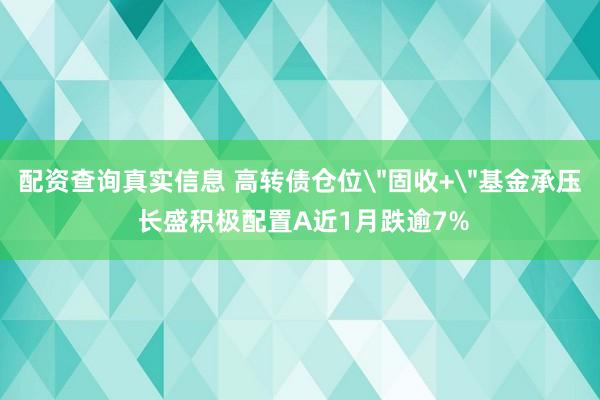 配资查询真实信息 高转债仓位
