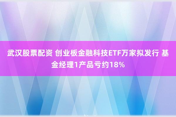 武汉股票配资 创业板金融科技ETF万家拟发行 基金经理1产品亏约18%