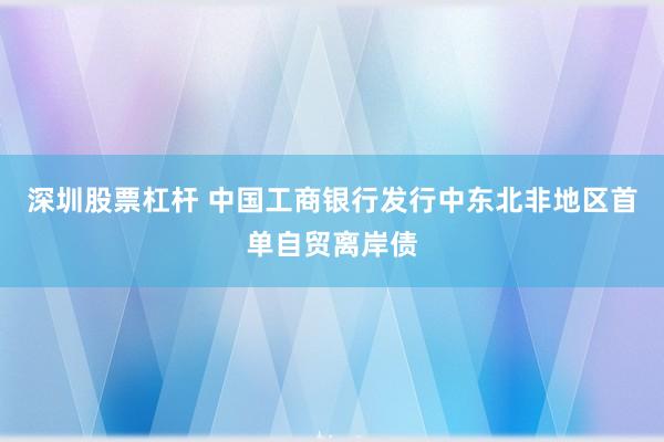 深圳股票杠杆 中国工商银行发行中东北非地区首单自贸离岸债