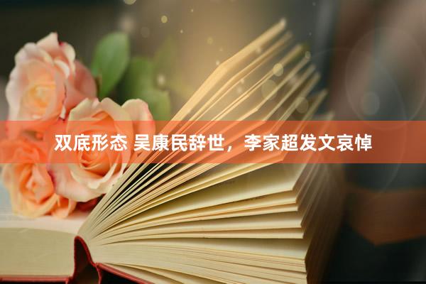 双底形态 吴康民辞世，李家超发文哀悼